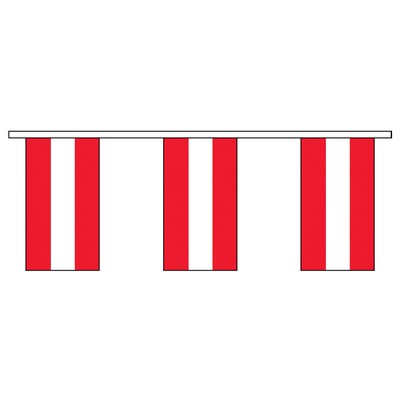 60' Austria International Collection Display Flag
