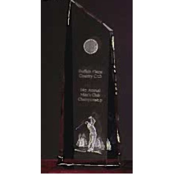 Custom Crystal Image in Glacier Pillar Award w/3D Logo/ Text (8")