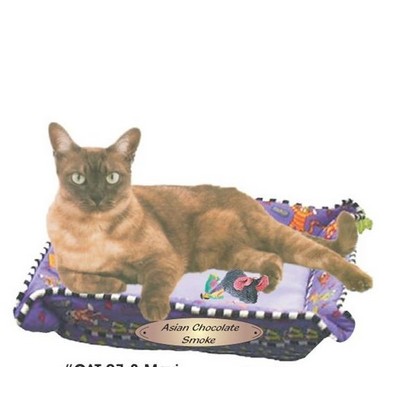 Asian Chocolate Smoke Cat Maxi Magnet (6 Square Inch)