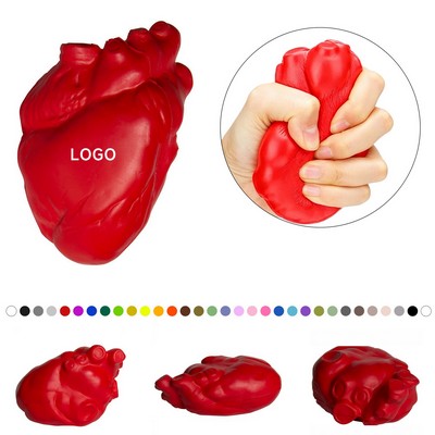 Anatomical Heart Squeeze Toy