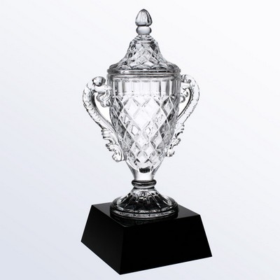 Champion'S Cup Award
