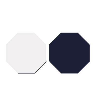 Octagon-Shaped Blank Acrylic Fridge Magnet