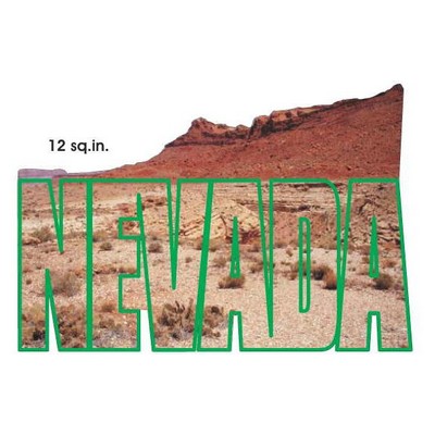 Nevada Desert Scene Maxi Magnet (10 Square Inch)