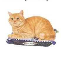 European Shorthair Cat Lapel Pin