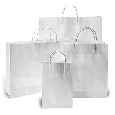 White Kraft Paper Bag w/Twisted Paper Handles (10"x5"x13")