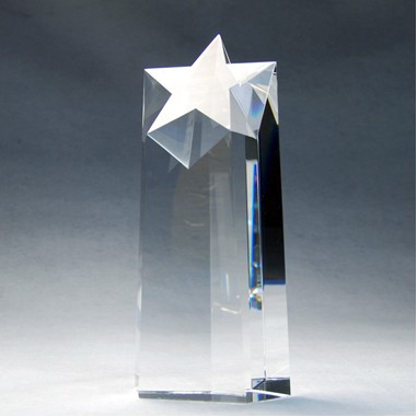 Crystal Star Pillar Award (screened )