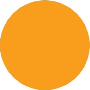 Fluorescent Orange Circle Labels - 4" Diameter