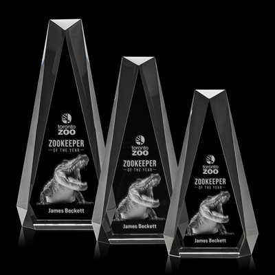 Carmel 3D Award - Clear