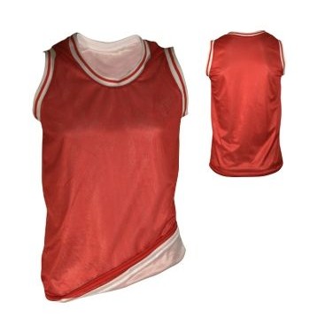 Adult Micro Mesh Reversible Basketball Jersey Shirt w/Trim