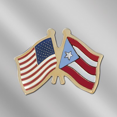 USA/United Arab Emirates Cross Flags Stock Patriotic Pin