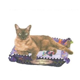 Asian Chocolate Smoke Cat Promotional Magnet w/ Strip Magnet (3 Square Inch)
