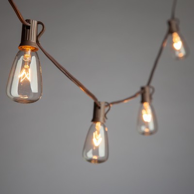 Everlasting Glow 20Ct Edison Bulb Light Set