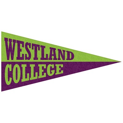3" x 6" Custom Printed Mini Magnetic Felt Pennant