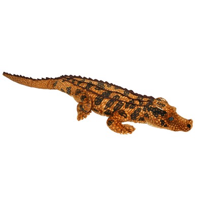 Red Komodo Dragon