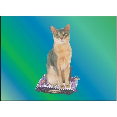 Abyssinian Cat Rectangle Badge w/ Bar Pin (2"x3")