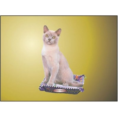American Burmese Cat Rectangle Badge w/ Bar Pin (2"x3")