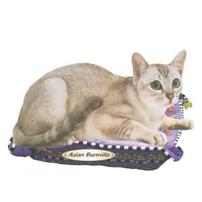 Asian Burmilla Cat Maxi Magnet (8 Square Inch)