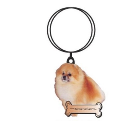 Pomeranian Dog Keychain w/Mirrored Back (2 Square Inch)