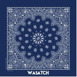 Paisley Bandanna
