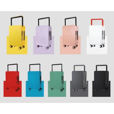 Luggage