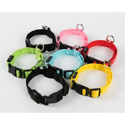 Pet Luminous Leash / Collar Stripe