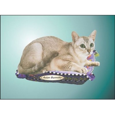 Asian Burmilla Cat Rectangle Badge w/ Bar Pin (2 1/2"x3 1/2")