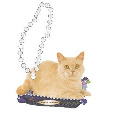 British Shorthair Cat Promotional Key Chain w/ Black Back (2 Square Inch)