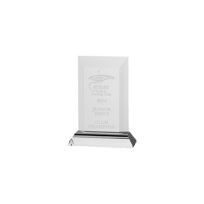 Junior Award 6"