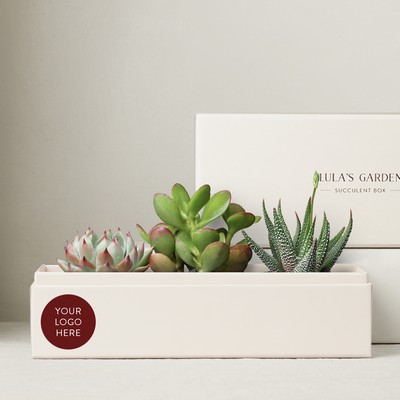 Jewel Garden
