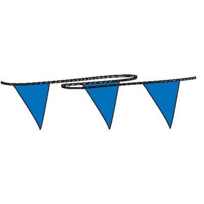 120' The Hawks Triangle Panels Poly Pennant String