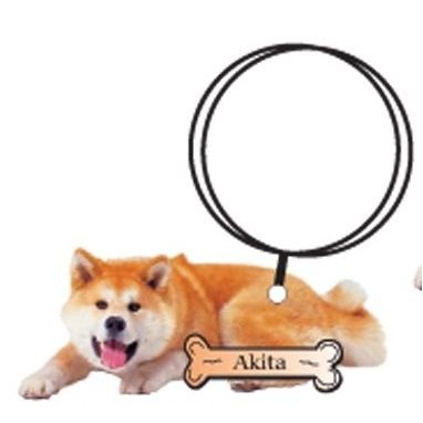 Akita Dog Executive Keychain w/Mirrored Back (12 Square Inch)