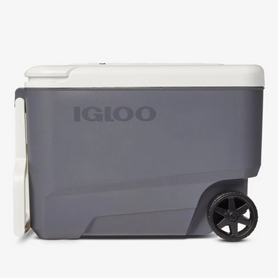 Igloo Maxcold Evergreen Hardtop Gripper 22 Eco Cooler