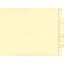 FileRight™ Plain Extended Tab File Folder