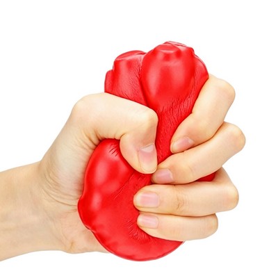 Anatomical Heart Squeeze Toy