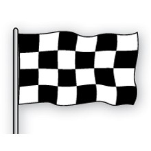 Black And White Checker Attraction Flag (2'x3')
