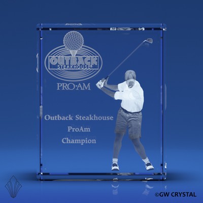 Series 3 Rectangle Crystal Cubes Award (3 1/8" x 2 3/8" x 1 1/8")