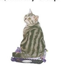 American Shorthair Cat Mighty Mini Magnet