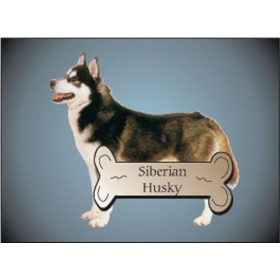 Siberian Husky Dog Rectangle Metal Photo Magnet (2"x3")