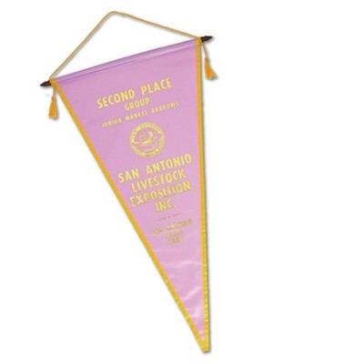 10" x 15" Custom Pennant