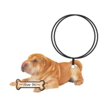 Shar Pei Dog Keychain w/Mirrored Back (8 Square Inch)