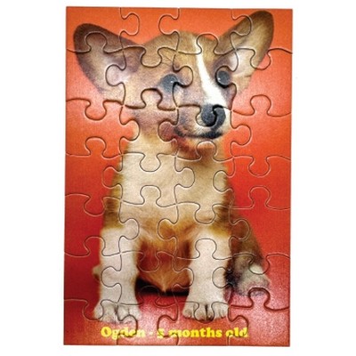 48 Piece Picture Puzzle