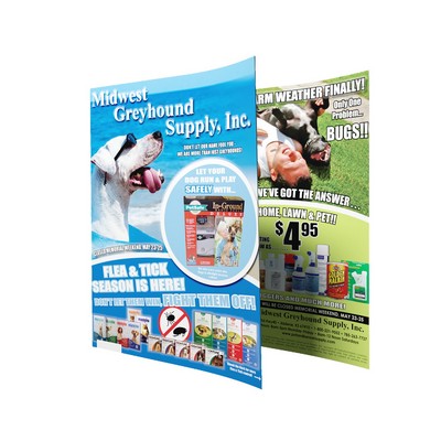 6.5" x 9" - Full Color Flyers -100# Gloss Cover -Aqueous Coating