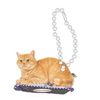 European Shorthair Cat Promotional Key Chain w/ Black Back (6 Square Inch)