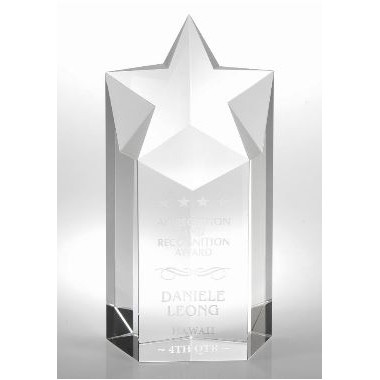 Large Optical Crystal Star Award