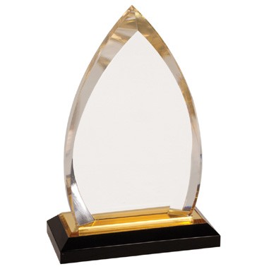 7" Oval Acrylic Award with Gold Accent (Laser engraved)