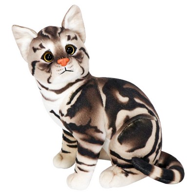 Brown Cat