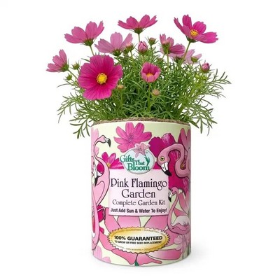 Pink Flamingo Garden in Eco-Friendly Grocan