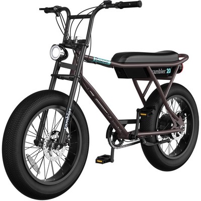 Razor USA Rambler 20 - Brown/Teal (Bb)