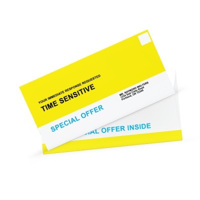 #10-24# White Wove Envelope