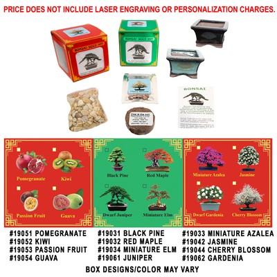 Cherry Blossom Bonsai Seed Kit